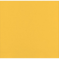 Serviette micro point jaune 2 plis 38 x 38 cm x 40 unités
