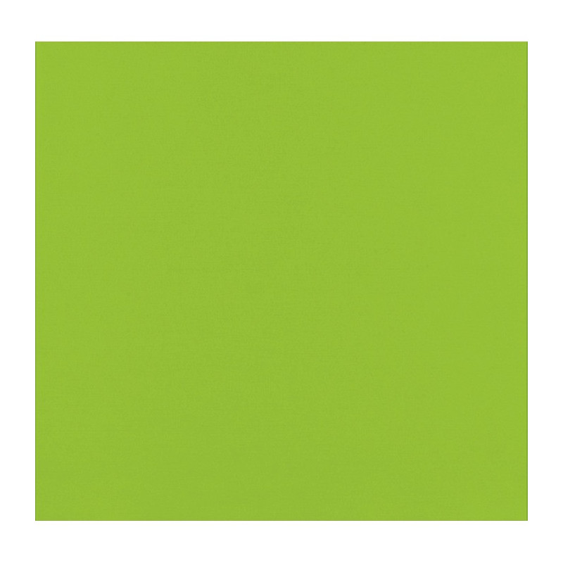 Serviette micro point vert citron 2 plis 38 x 38 cm x 40 unités