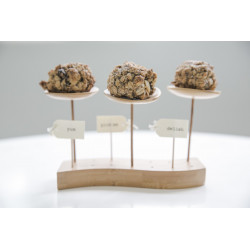 Pique assiette suspendue "Thani" Diam: 6 cm 6 x 6 x 9,3 cm x 24 unités