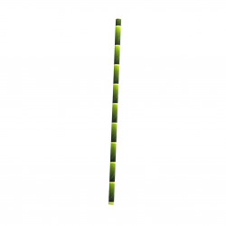 Chalumeau Papier Décor Bambou Emballé Individuellement L: 0,6 cm l: 0,6 cm H: 19,7 cm
