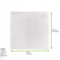 Serviette micropoint blanche 2 plis 20 x 20 cm x 100 unités