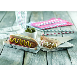 Support hot-dog carton impression journal 18 x 4 x 1,9 cm x 50 unités
