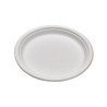 Assiette ronde blanche en pulpe Ø261mm 260x260, H21 mm, 50pcs