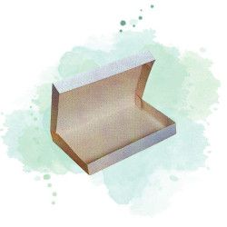 25 Pcs - Boîte plateau lunch carton blanc 20x29x6cm