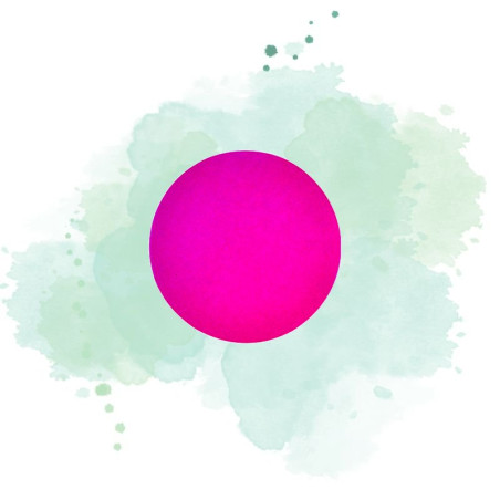 100 Pcs - Rond carton double face anis/fushia - Diam: 22 cm