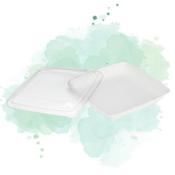 25 Pcs - Saladier carré blanc en pulpe 1000 ml 23,5 x 23,5 x 2,8 cm