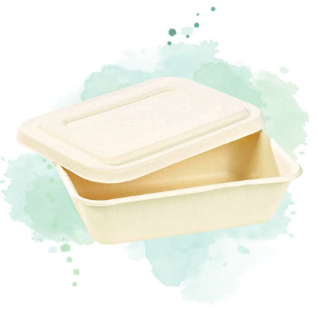 50 Pcs - Boîte repas pulpe blanche - 850 ml, 19,3 cm x 13,5 cm, Hauteur: 5 cm