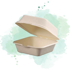 50 Pcs - Coquille blanche en pulpe - 460 ml, 15 x 15 cm, Hauteur: 8 cm