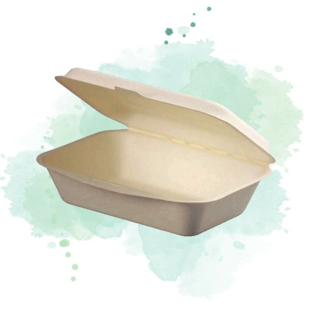 50 Pcs - Coquille blanche en pulpe 600 ml 19 x 14 x 6 cm