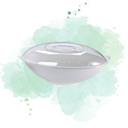 250 Pcs - Couvercle PET transparent "BioNchic" - 22,3 x 13,7 cm, Hauteur: 4,3 cm