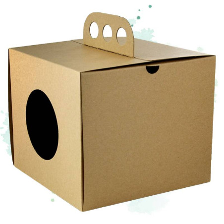 50 Pcs - Boîte à emporter kraft brun