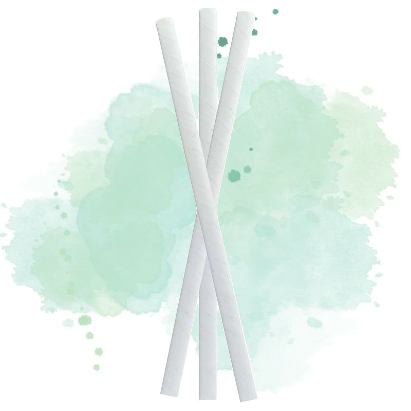 500 Pcs - Chalumeau papier blanc pour smoothie - Diam: 0,8 cm, Long: 19,7 cm 500 Pcs - Chalumeau papier blanc pour smoothie - Diam: 0,8 cm, Long: 19,7 cm