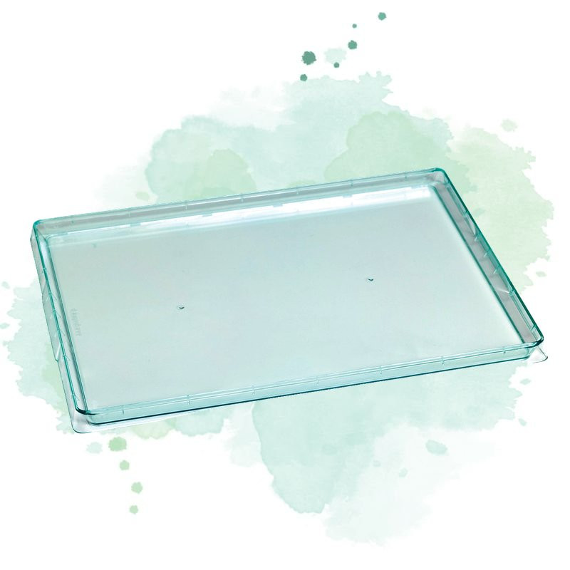 25 Pcs - Plateau plastique PS vert transparent "Klarity" - 38 x 27,4 cm, Hauteur: 1,8 cm