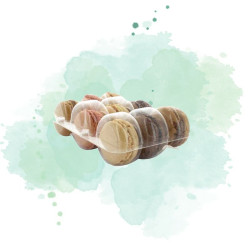 25 Pcs - Insert plastique PET transparent pour 9 macarons - 11 x 16 x 2 cm, fermeture clipsable