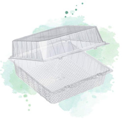 225 Pcs - Boîte blister plastique transparente - 220x220 mm, Hauteur: 100 mm