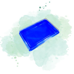 160 Pcs - Coffret repas plastique bleu - 272 x 188 mm, Hauteur: 53 mm, Couvercle transparent