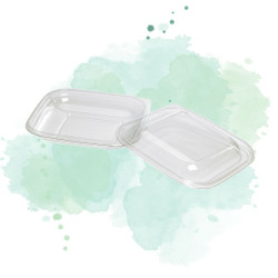 25 Pcs - Saladier plastique PET transparent avec couvercle - 500 ml, 19,5 x 19,5 cm, Hauteur: 3 cm