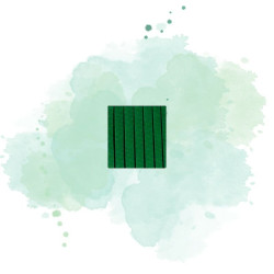 5 Pcs - Juponnage non-tissé vert - 4000 x 240 mm, Idéal pour vos besoins horeca