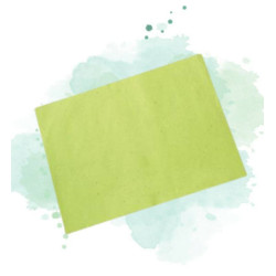 250 Pcs - Set de plateaux papier verts - 30 x 40 cm, parfaits pour le service