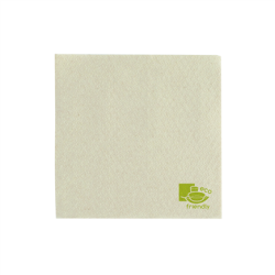 100 Pcs - Serviette papier écrue 2 plis - 300 mm x 300 mm, parfaite pour horeca