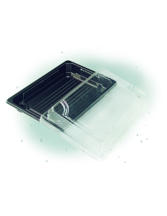200 Pcs - Barquette sushi plastique noire - 300 ml, 188x135 mm, Hauteur: 37 mm 2