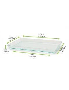 50 Pcs - Éléments de plateau "Klarity" - Plastique vert transparent, 18 x 13 cm 2