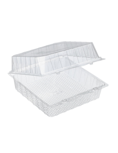 225 Pcs - Boîte blister plastique transparente - 220x220 mm, Hauteur: 100 mm