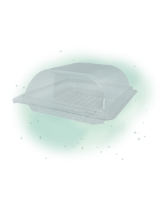 300 Pcs - Boîte plastique transparente avec couvercle - 150 x 140 mm, Hauteur: 57 mm 2