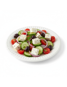 100 Pcs - Assiette ronde en carton blanc - Diam: 25,3 cm, Hauteur: 2 cm