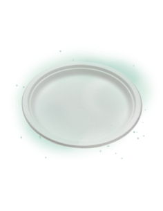 50 Pcs - Assiette ronde blanche en pulpe - Diam: 30 cm, Hauteur: 2,6 cm 2