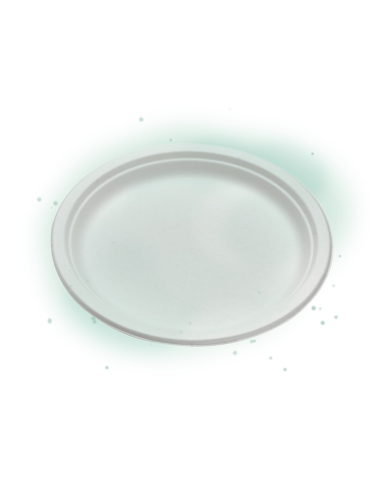 50 Pcs - Assiette ronde blanche en pulpe - Diam: 30 cm, Hauteur: 2,6 cm