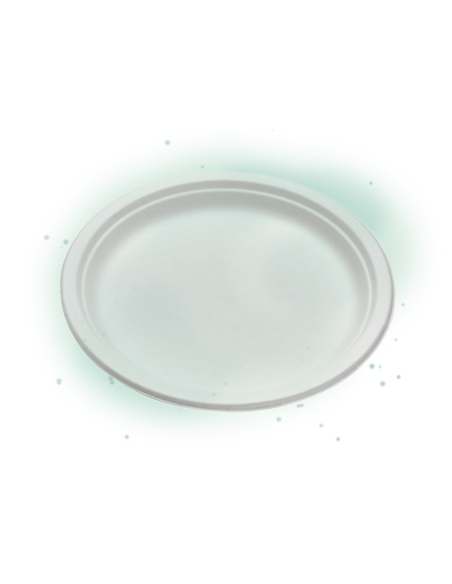 50 Pcs - Assiette ronde blanche en pulpe - Diam: 30 cm, Hauteur: 2,6 cm