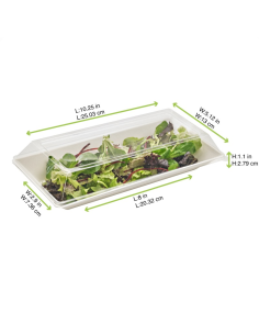 50 Pcs - Assiette rectangulaire blanche en pulpe - 260 x 130 mm, Hauteur: 28 mm 2