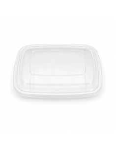 50 Pcs - Couvercle PET transparent - 18,1 cm x 16,7 cm x 0,9 cm