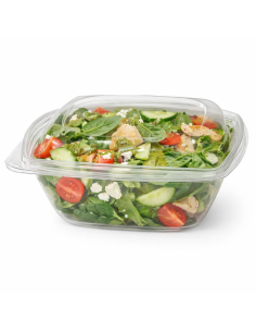25 Pcs - Saladier transparent carré PET - 1000 ml, 19 x 19 cm, Hauteur: 6,5 cm 2