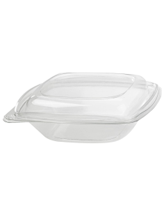 25 Pcs - Saladier PET carré transparent - 750 ml, 19 cm x 19 cm, Hauteur: 5 cm