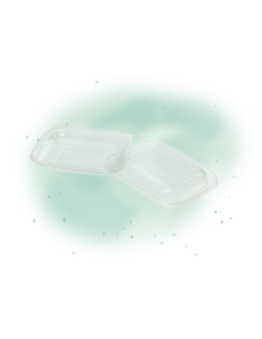 25 Pcs - Saladier plastique PET transparent avec couvercle - 500 ml, 19,5 x 19,5 cm, Hauteur: 3 cm 2