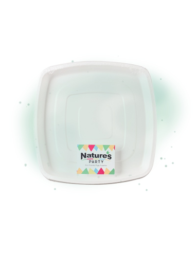 2 Pcs - Plateau traiteur carré pulpe blanc - 30,4 x 30,4 cm, Hauteur: 2,5 cm
