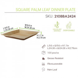 Assiette carrée en palmier 24 x 24 x 2,5 cm x 25 unités