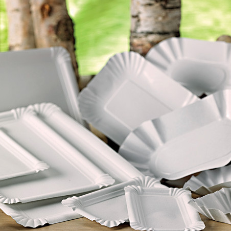 Assiette en carton recyclable au meilleur prix du web