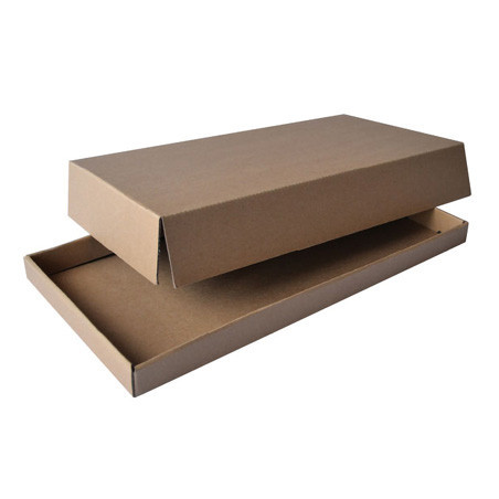 Plateau Carton Doré & Plateaux Jetable- Plateau Traiteur Carton