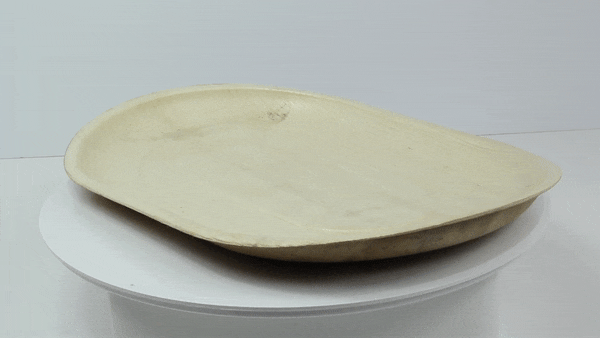 10pcs - Plateau ovale en palmier - 42 cm x 26 cm x 2,5 cm