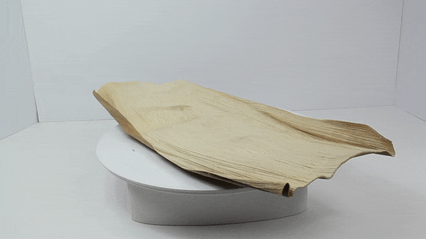 10pcs - Feuille de palmier naturelle - 55 cm x 32 cm