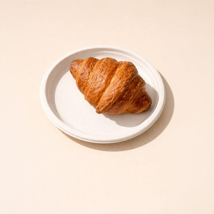 50pcs - Assiette ronde blanche en pulpe - Ø 22,2 cm