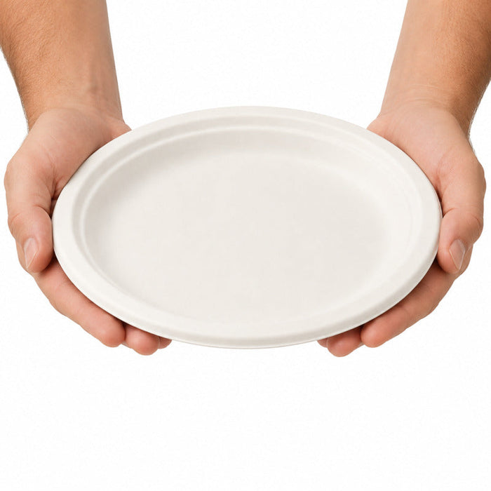 25pcs - Assiette ovale blanche en pulpe - 26 cm x 19,5 cm