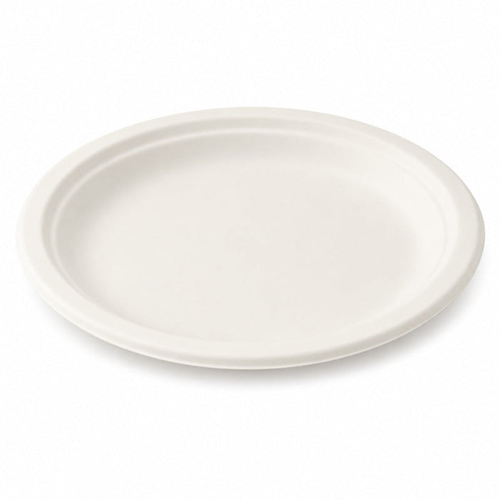 25pcs - Assiette ovale blanche en pulpe - 26 cm x 19,5 cm