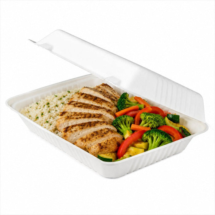 50pcs - Coquille blanche en pulpe - 23 cm x 15,6 cm x 8 cm