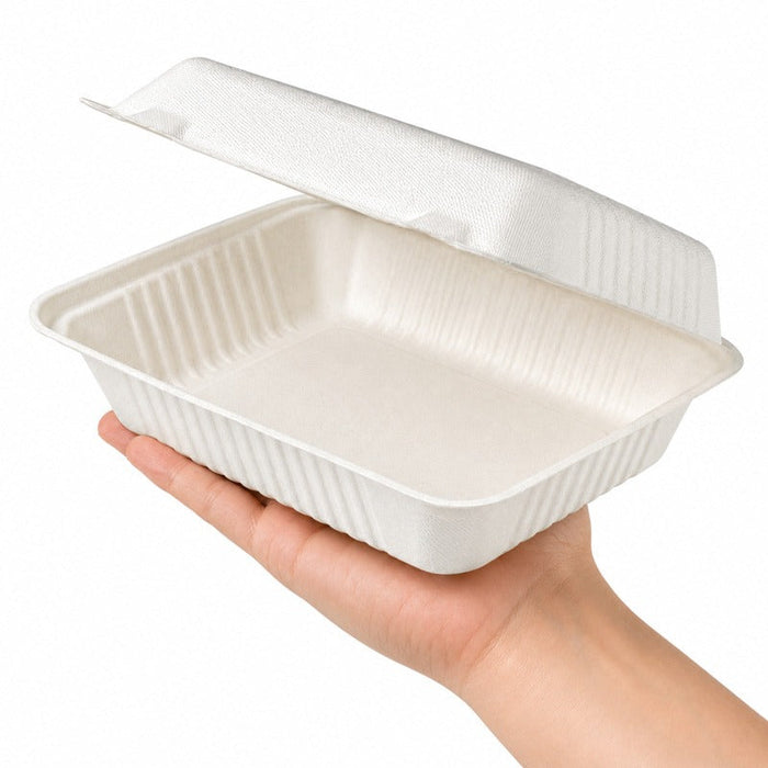 50pcs - Coquille blanche en pulpe - 23 cm x 15,6 cm x 8 cm