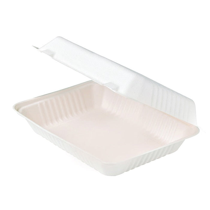 50pcs - Coquille blanche en pulpe - 23 cm x 15,6 cm x 8 cm