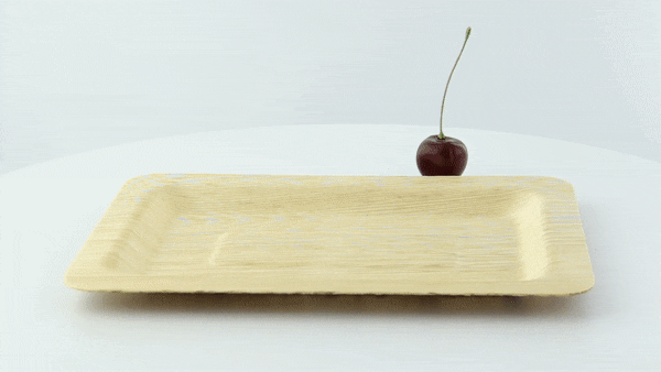10pcs - Assiette rectangulaire en feuille de bambou "Zebra" - 20 cm x 14 cm x 1 cm